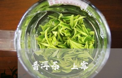 普洱茶 上霉/2023042887023